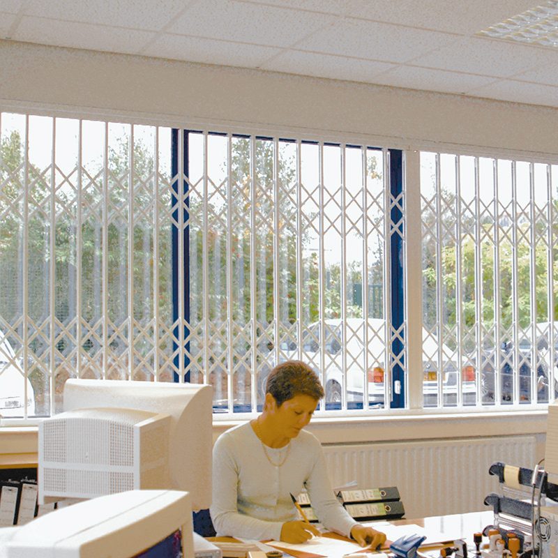 seceuroguard1000_office