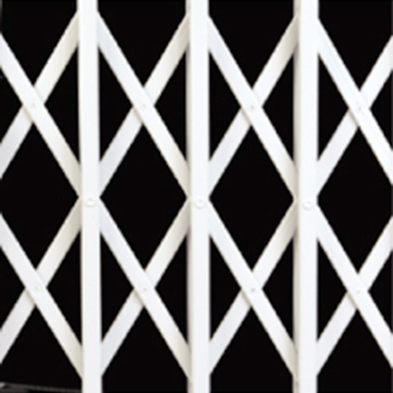 seceuroguard1001_crosslatti